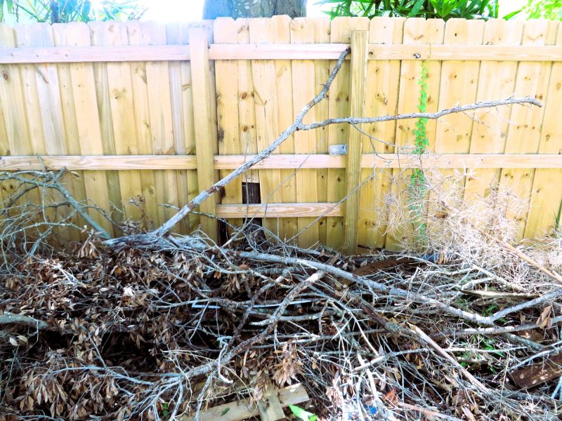 Brush Removal Service