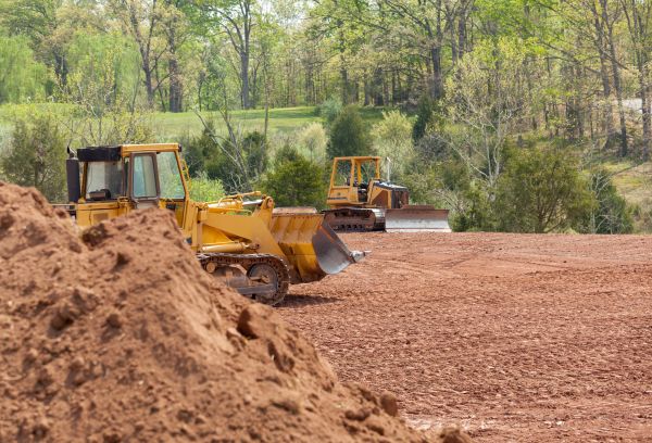 Land Clearing in Albany