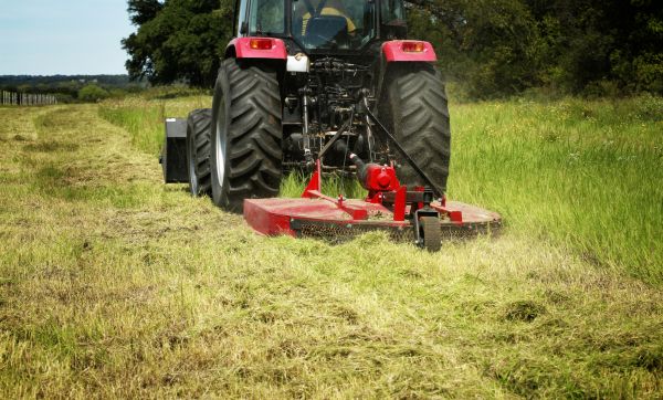 Brush Clearing Service in Albany