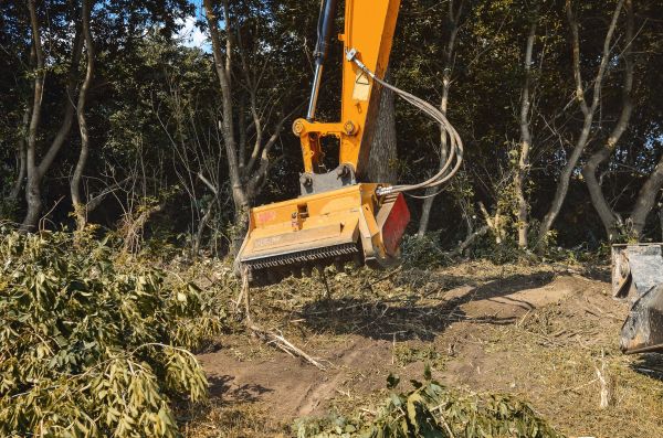Brush Removal Service in Albany