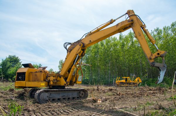 Farm Clearing in Albany