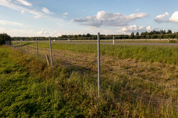 Property Line Clearing in Albany