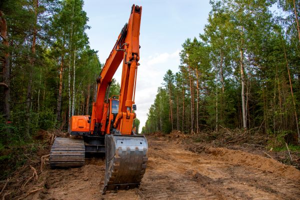 Backhoe Land Clearing in Albany