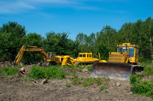 Bulldozer Clearing in Albany