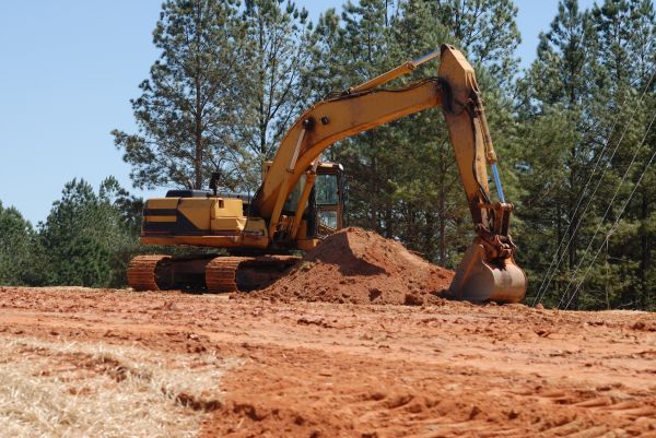 Easement Land Clearing in Albany