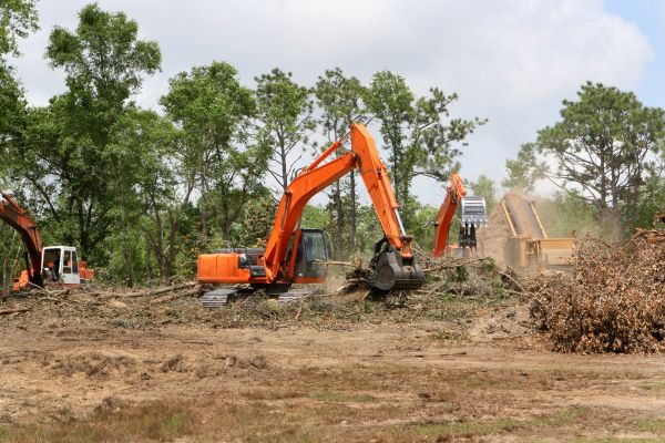 Commercial Lot Clearing in Albany