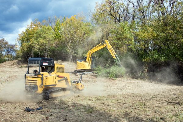 Terrain Clearing in Albany