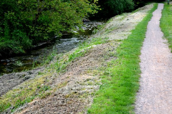 Trail Cutting in Albany